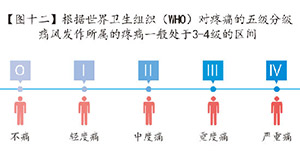 图十二-痛风疼痛在疼痛5个等级中的3-4级区间.jpg